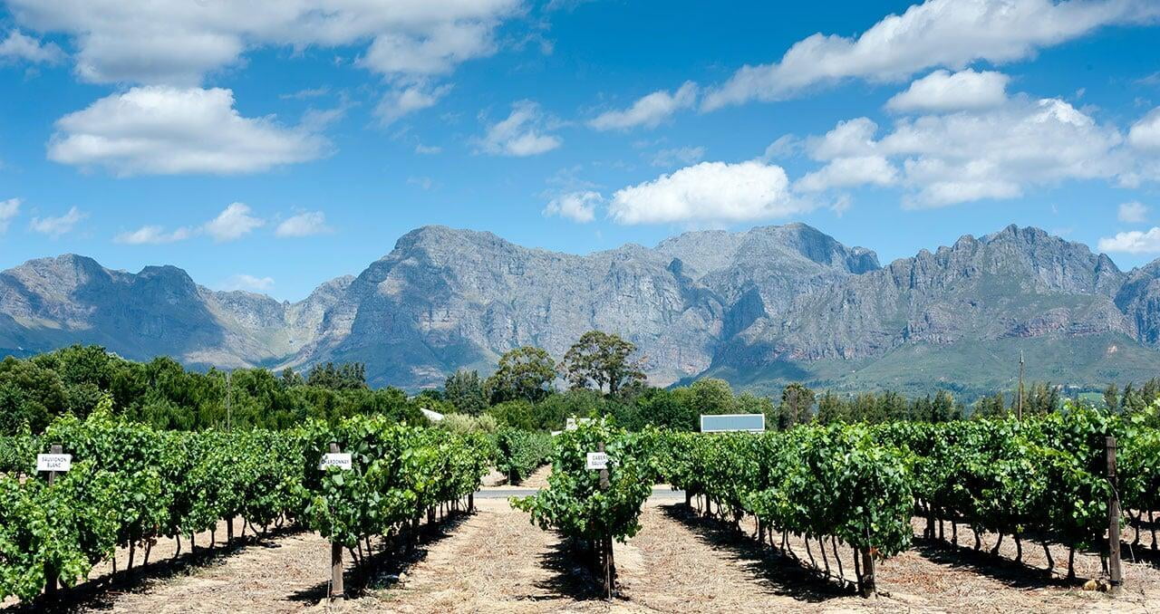 Wine Australia (Federal Government)
